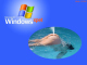 Fond d'ecran humour - Windows XPet 01-humourenvrac